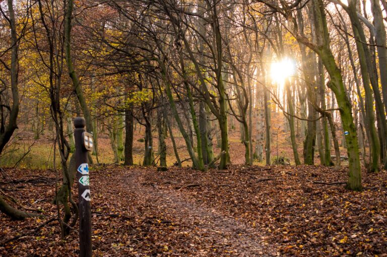 Szentendre belvárosától Szigetmonostor tanösvényeiig – kompokkal fűszerezett kirándulás